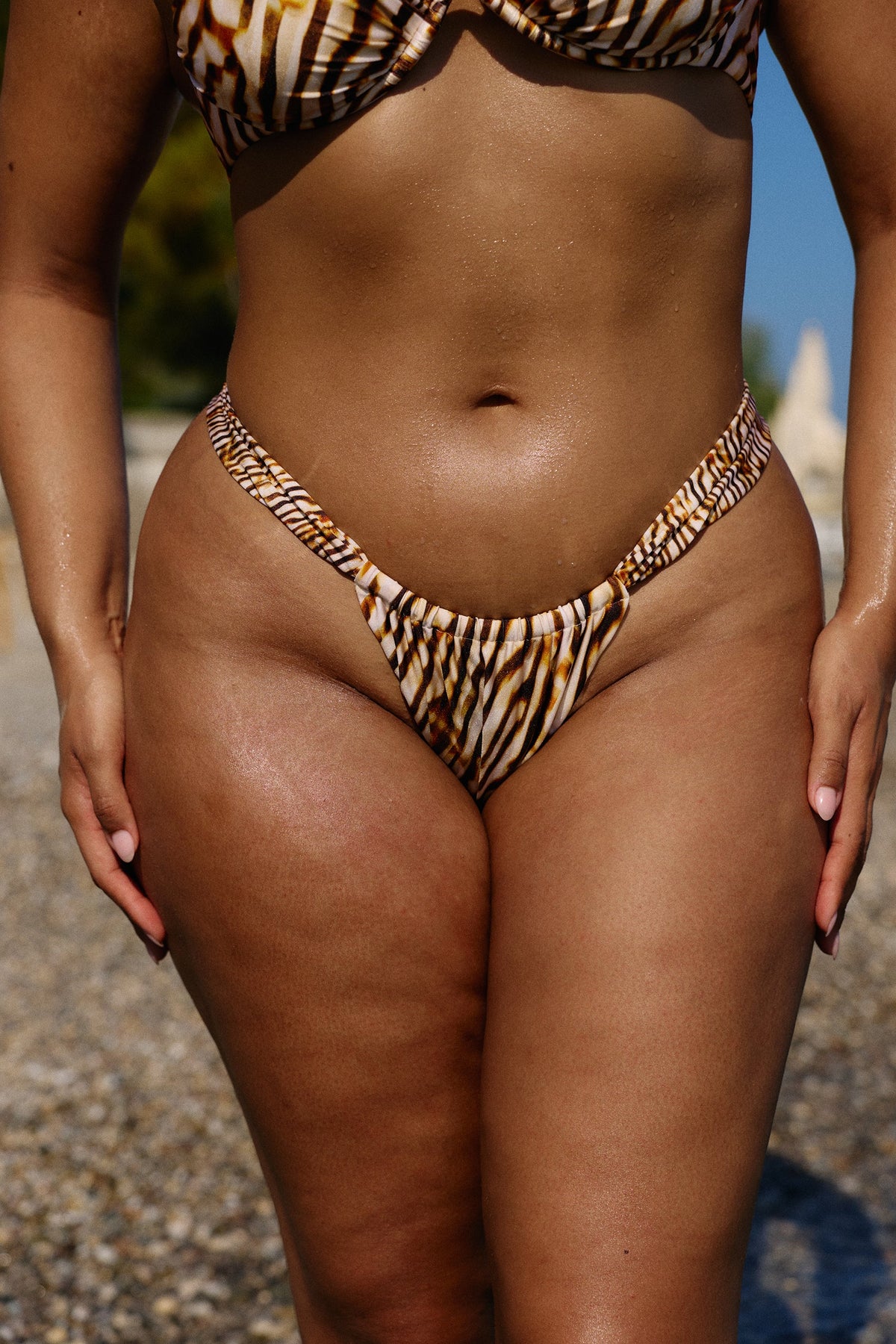 Cyprus Bikini Bottom in Palazzo